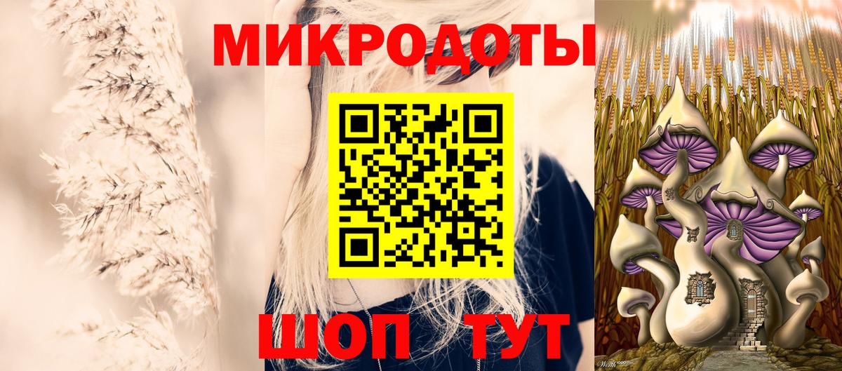Псилоцибиновые грибы Psilocybe  Вход с VPN  Саров  Галлюциногенные грибы мицелий 